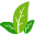 CleanPng